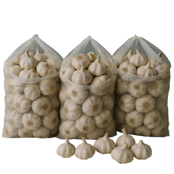 Garlic Whole Dry/10Kg