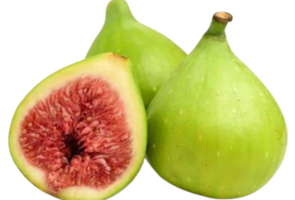 Figs