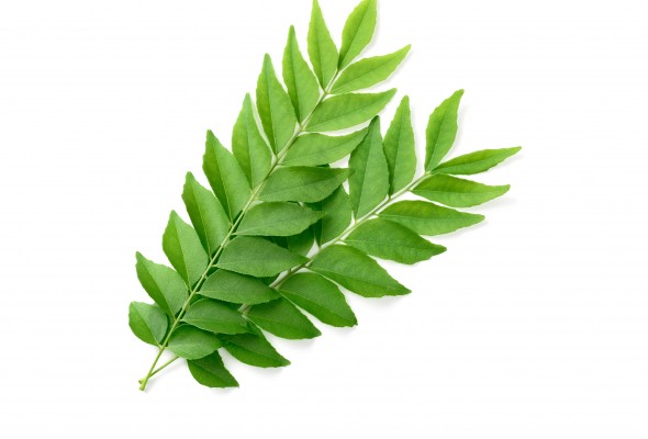 Curry Leaves