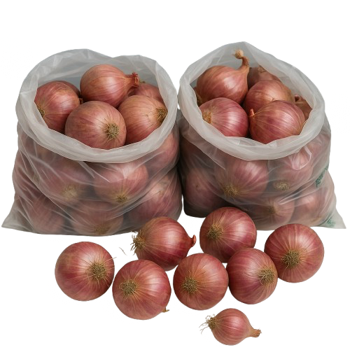 Onion Medium size/10kg