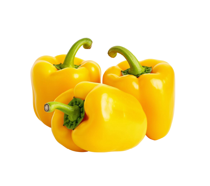 Yellow Capsicum premium