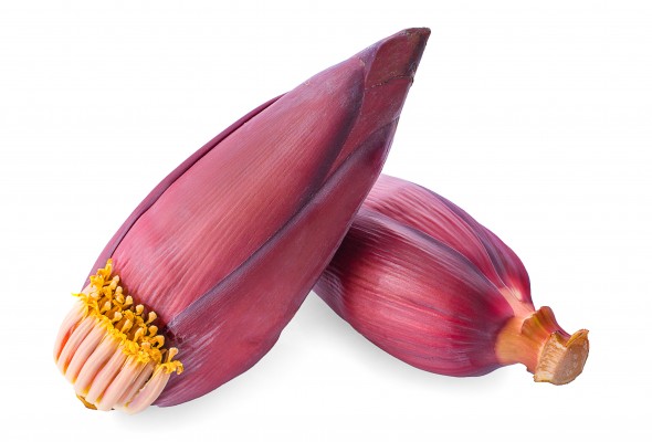 Banana Flower