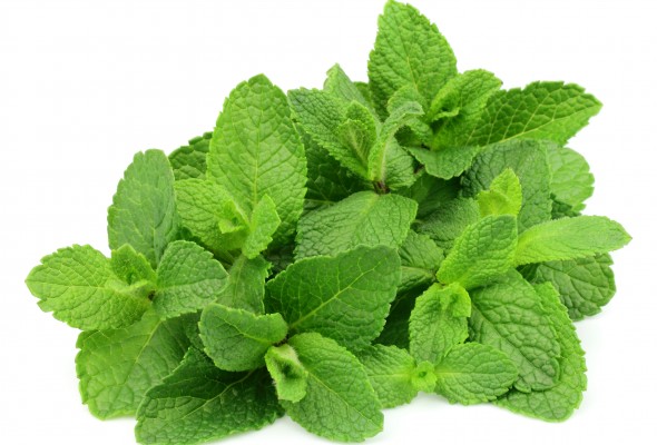 Mint Leaves