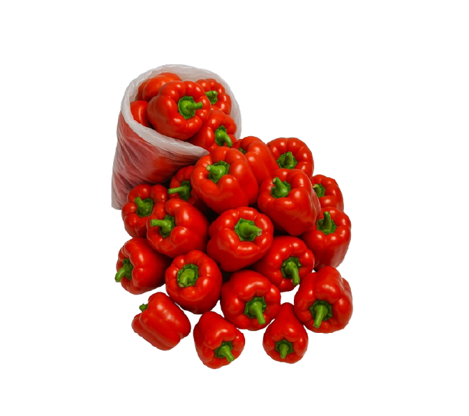 Red Capsicum economy