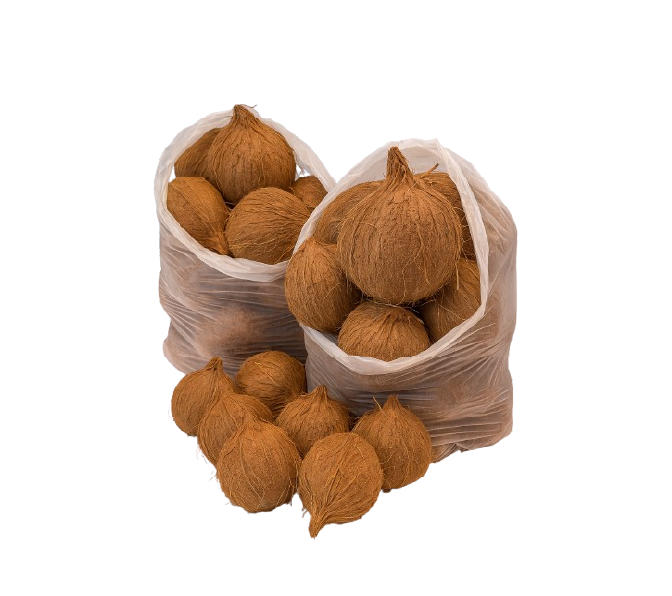 Coconut /10kg